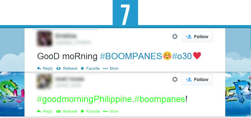 boompanes-photo71