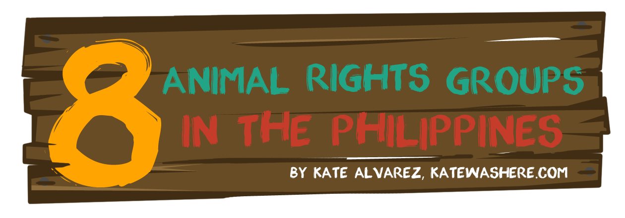 Animal Rights Groups In The Philippines: Advocating For Animal Welfare