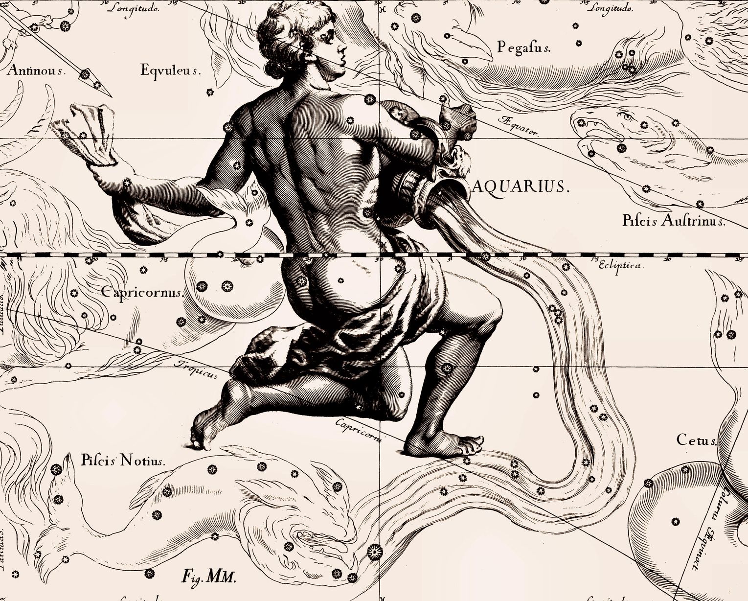 aquarius