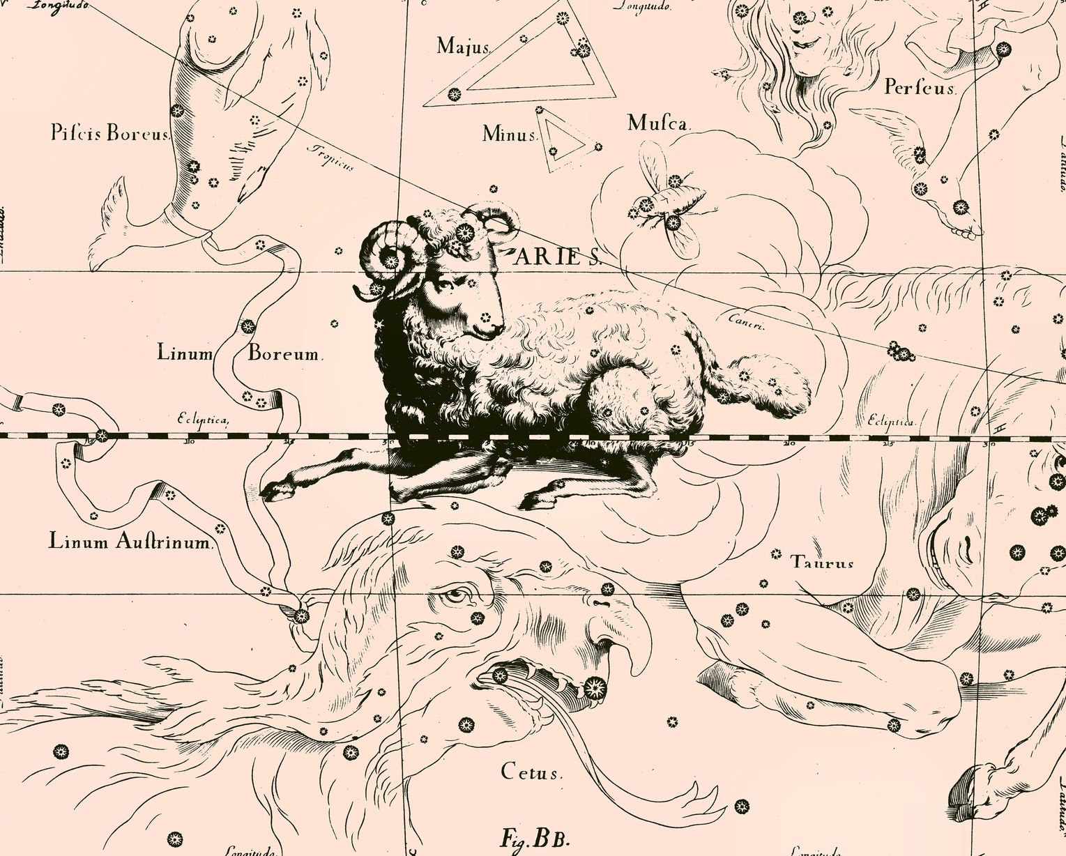 aries