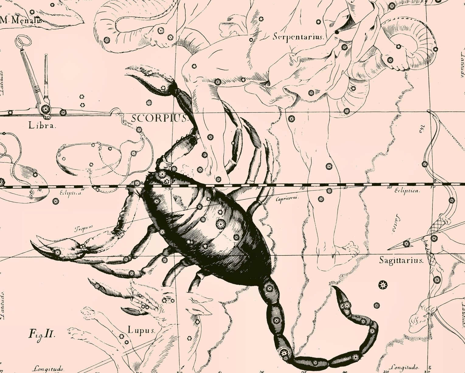 scorpio
