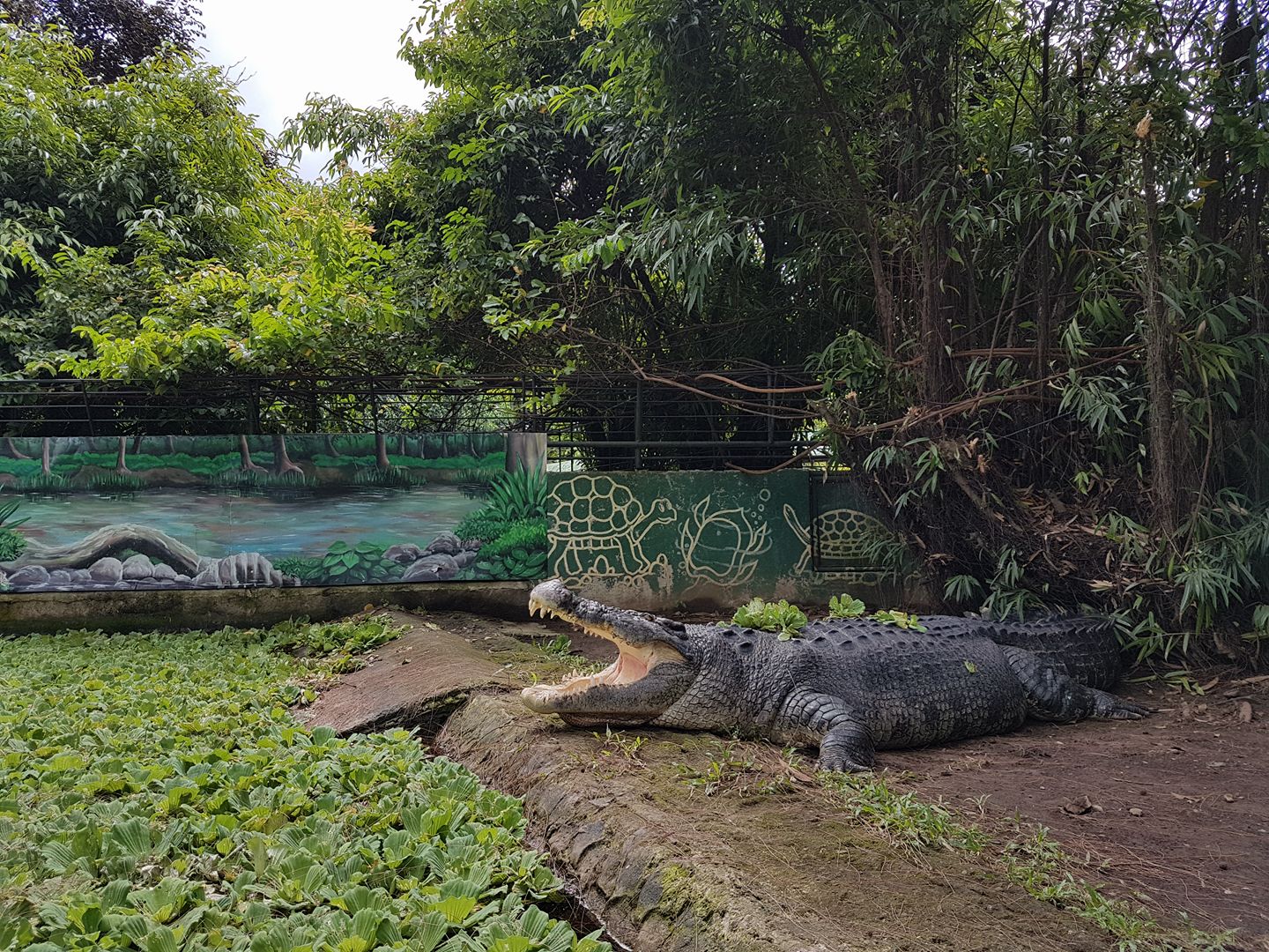 How Many of These Zoos and Safaris All Over The Country Have You