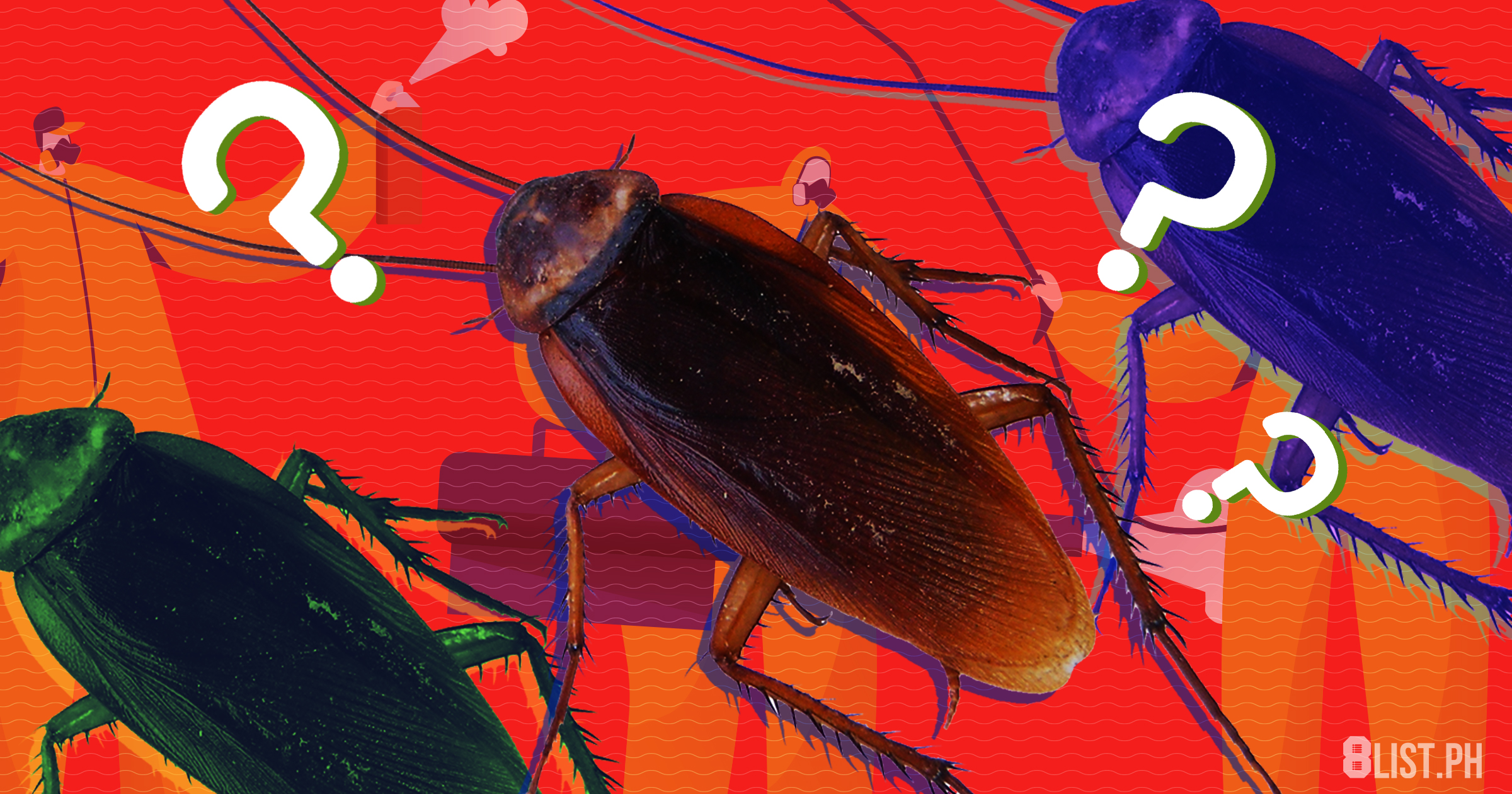 This Week in Weird: Cockroaches are Now Immune to Insecticides and We