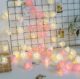 Mood Light - Rose String Lights