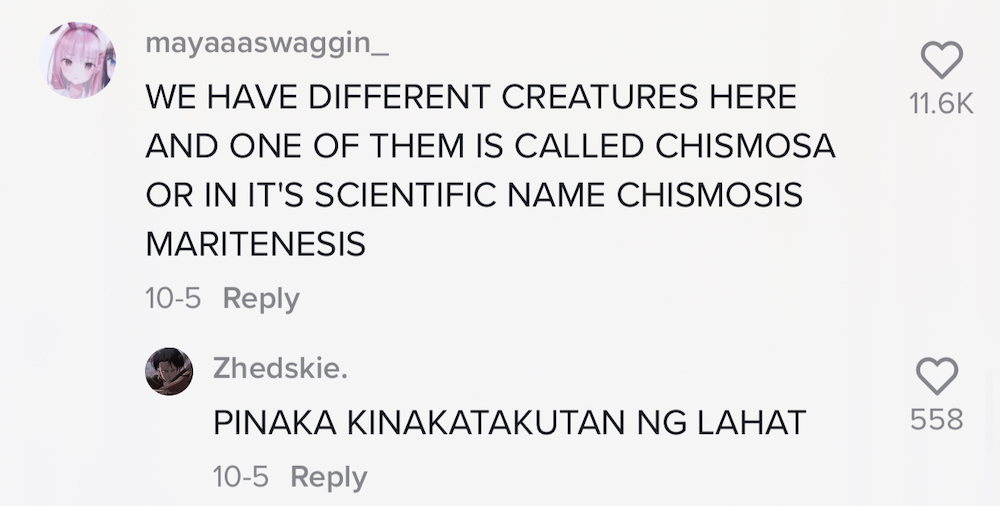 Creepy Facts About The Philippines As Hilariously Told By Pinoys On