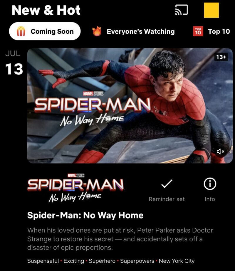  Spider-Man: No Way Home 