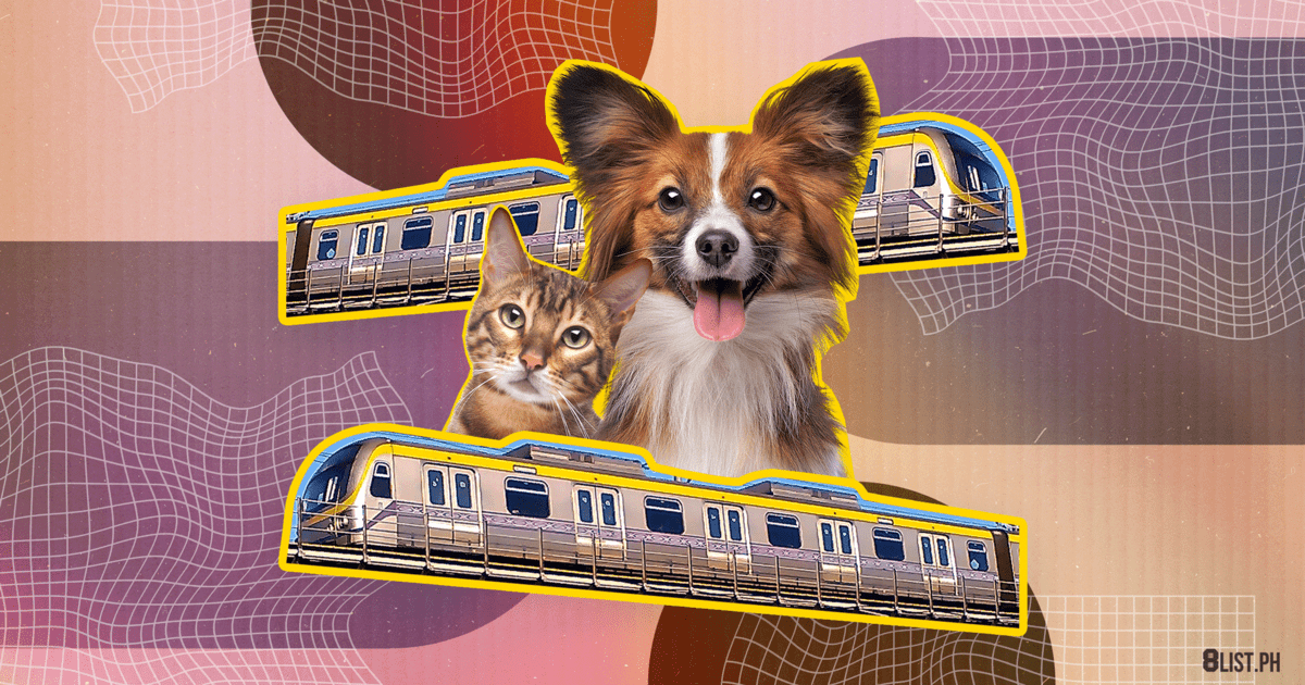 Fur Parents, It Looks Like LRT2 Will Allow Pets on Trains 8List.ph