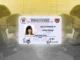 solo parent ID