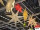 IKEA Christmas Collection 2026