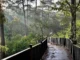 baguio arboretum