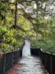 baguio arboretum